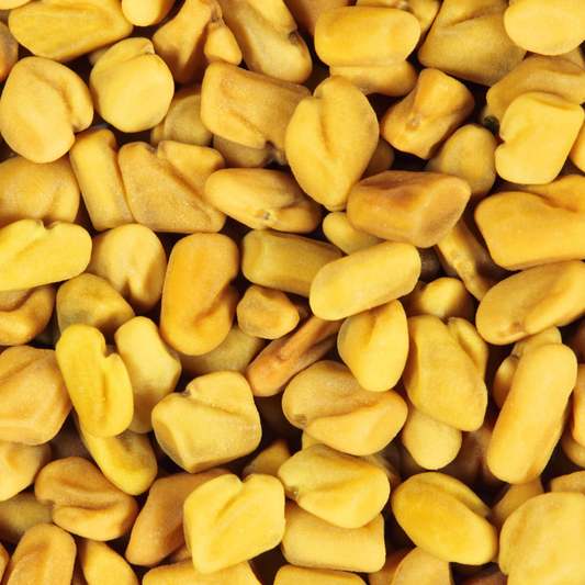 10 benefits of Fenugreek for maintaining healthy hair